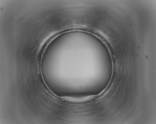 X0000073721310200608311809