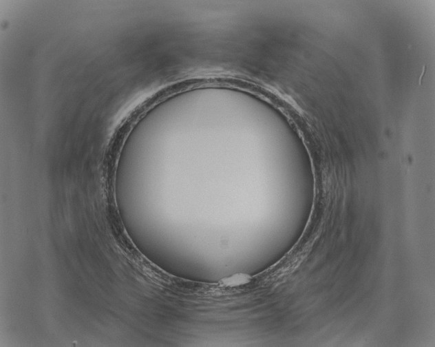 X0000073721311200608311809