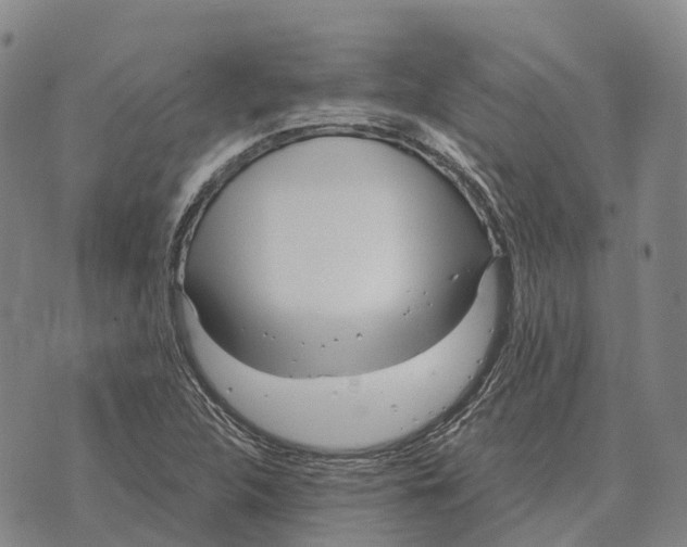 X0000073721312200608311809