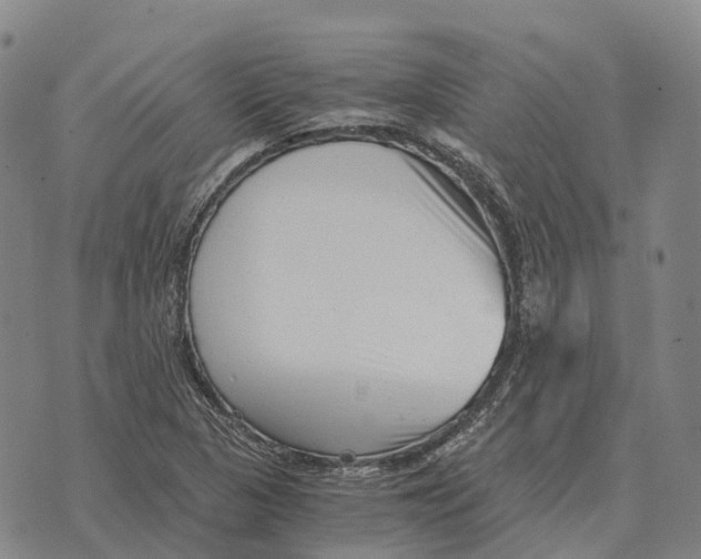 X0000073721313200608311810