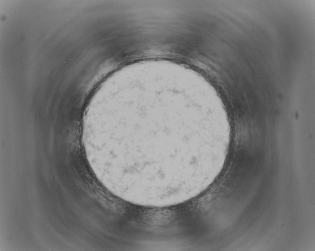 X0000073721314200608311810