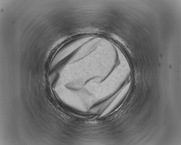 X0000073721315200608311810