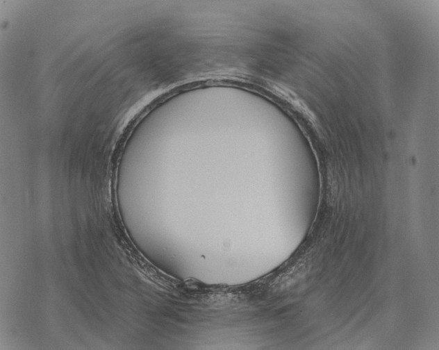 X0000073721316200608311810