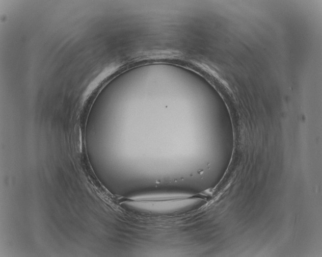 X0000073721317200608311810