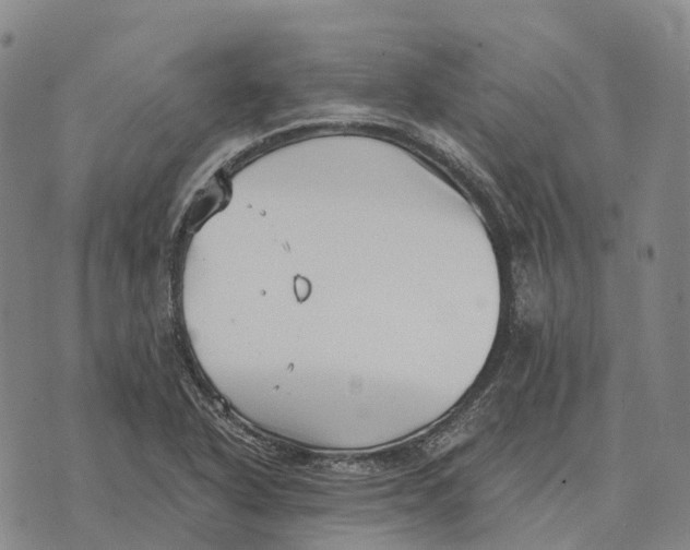 X0000073721318200608311810