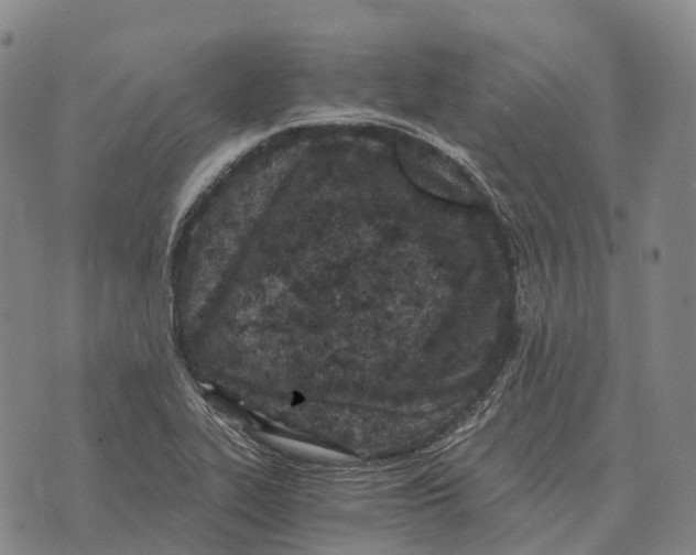 X0000073721319200608311810