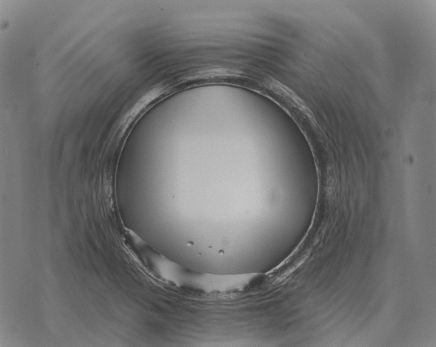 X0000073721321200608311810