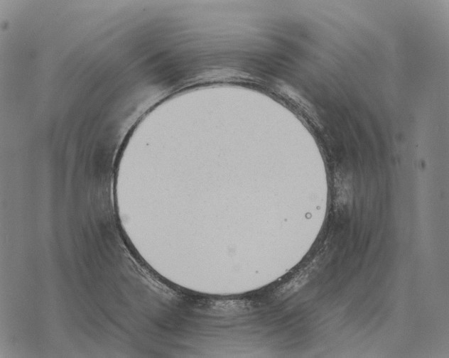 X0000073721322200608311810