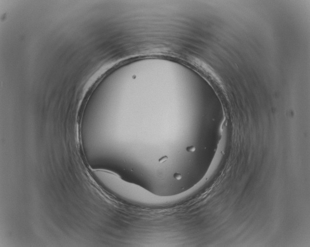 X0000073721324200608311810