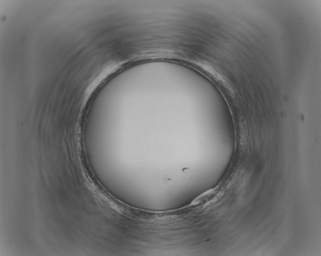 X0000073721325200608311810