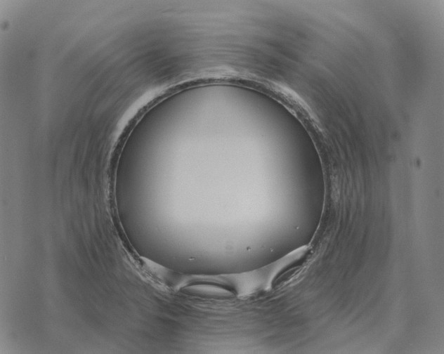 X0000073721326200608311810