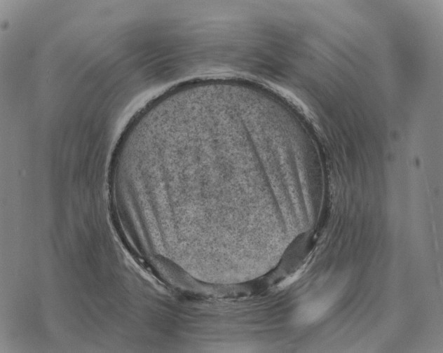 X0000073721327200608311810