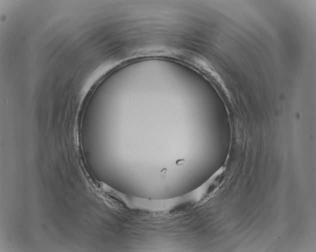 X0000073721328200608311810