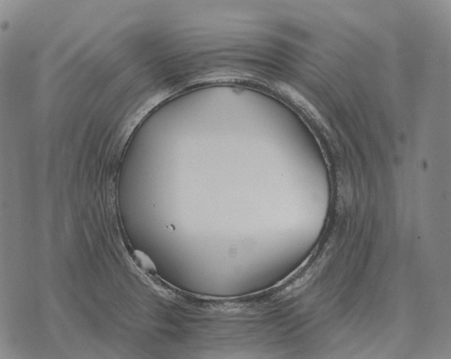 X0000073721329200608311810