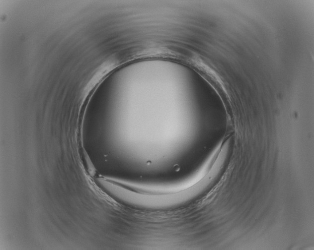 X0000073721330200608311810