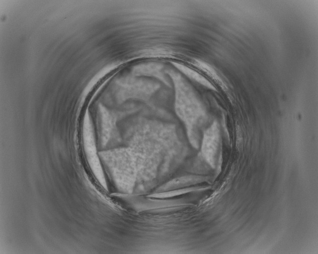 X0000073721331200608311810