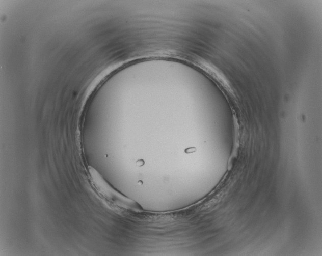 X0000073721332200608311810