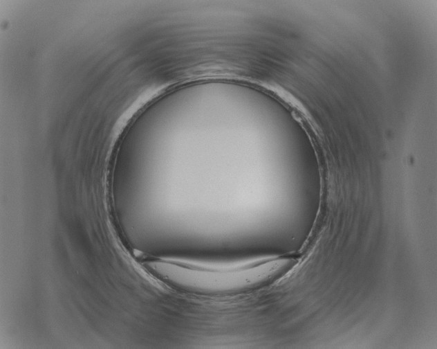 X0000073721333200608311810