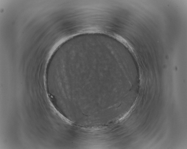 X0000073721334200608311810