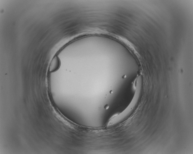 X0000073721335200608311810