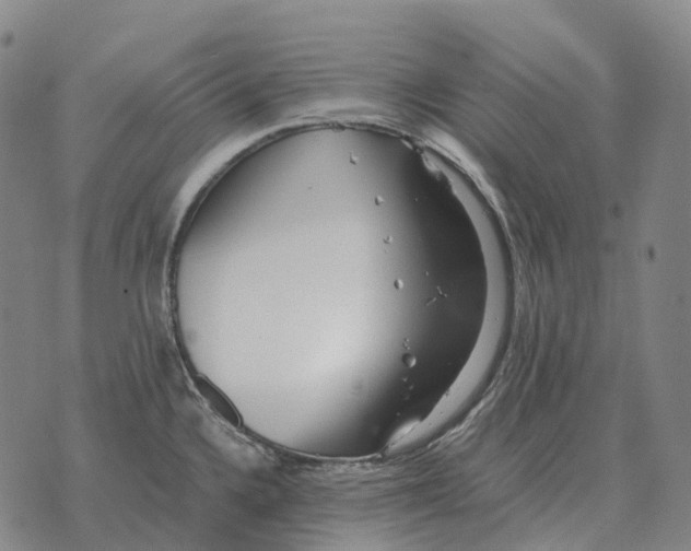 X0000073721336200608311810