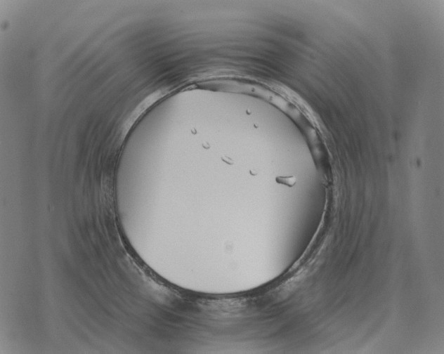 X0000073721337200608311810