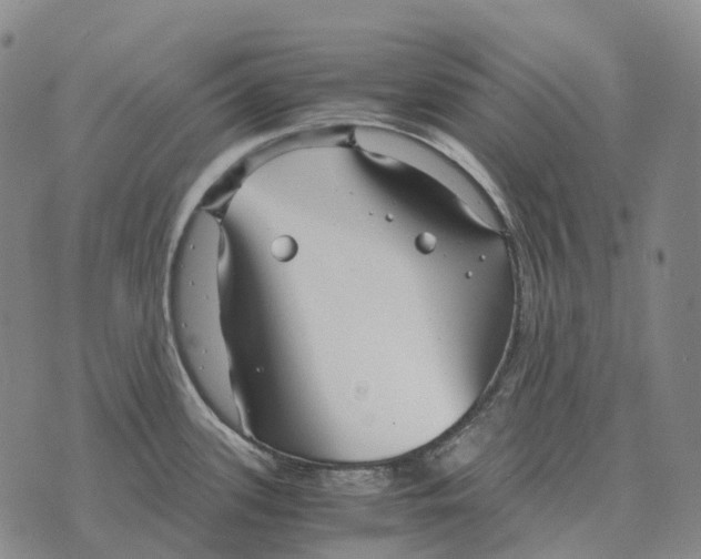 X0000073721339200608311810