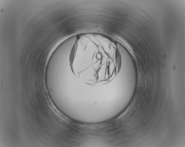 X0000073721340200608311810