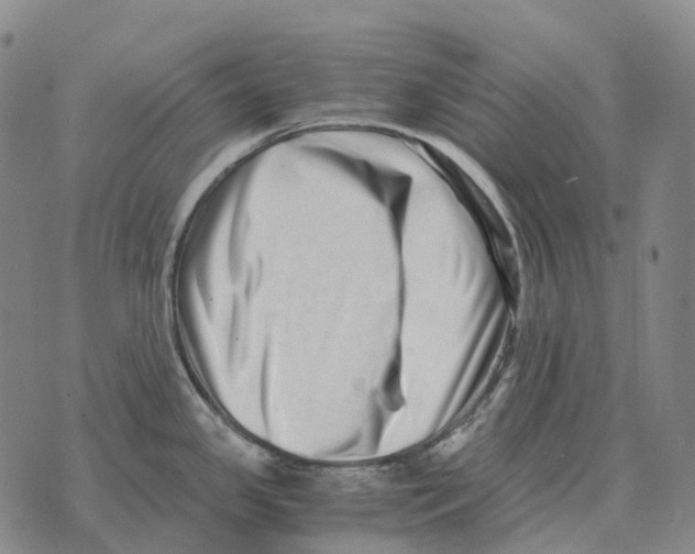 X0000073721341200608311810