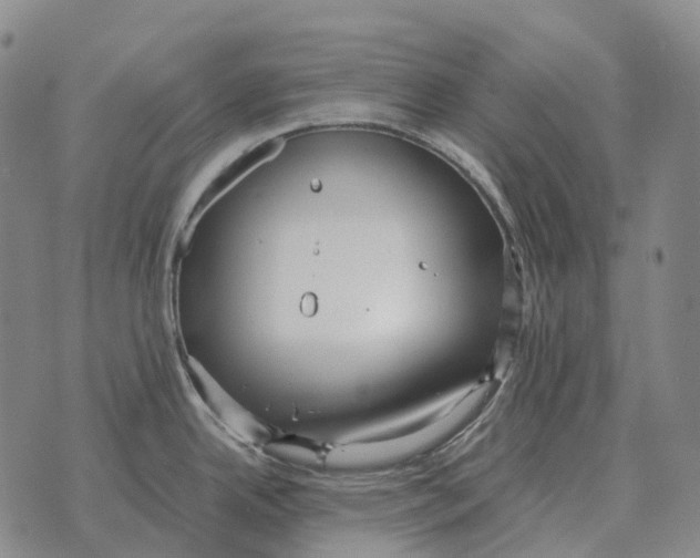 X0000073721342200608311810