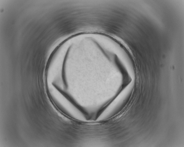 X0000073721343200608311810