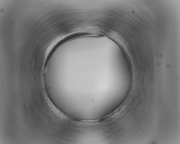 X0000073721344200608311810