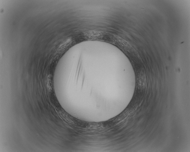 X0000073721346200608311809