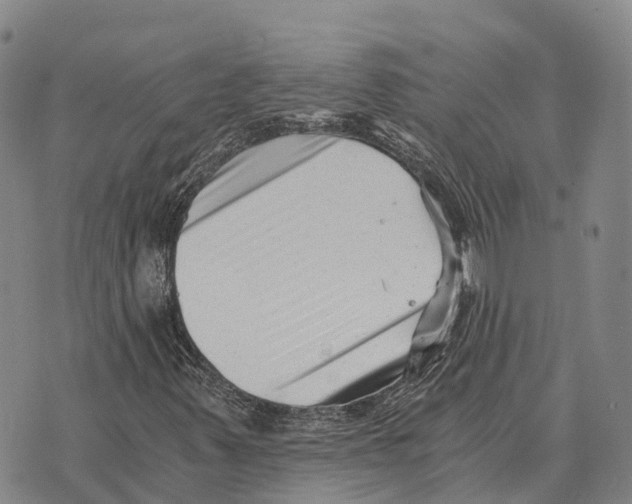 X0000073721347200608311809