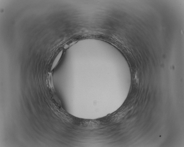 X0000073721348200608311809