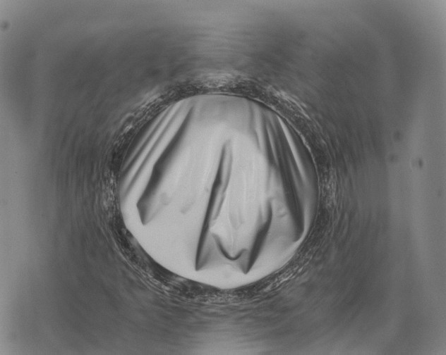 X0000073721349200608311809