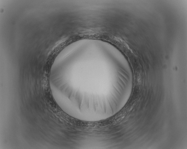 X0000073721350200608311809