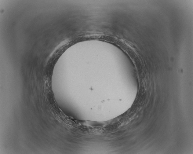 X0000073721351200608311809