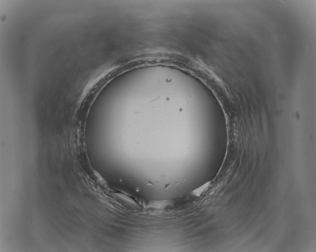 X0000073721352200608311809