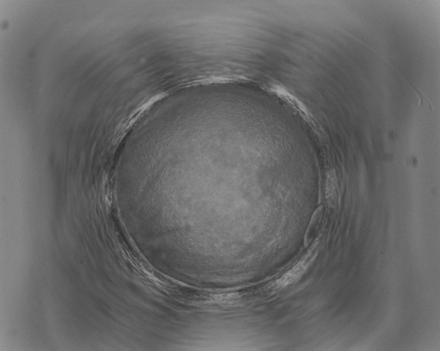 X0000073721353200608311809