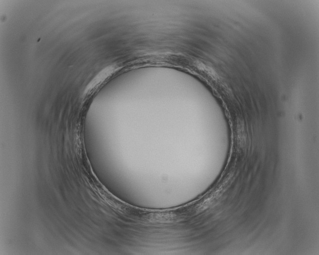 X0000073721354200608311809