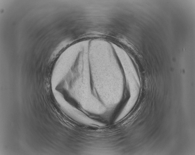 X0000073721355200608311809