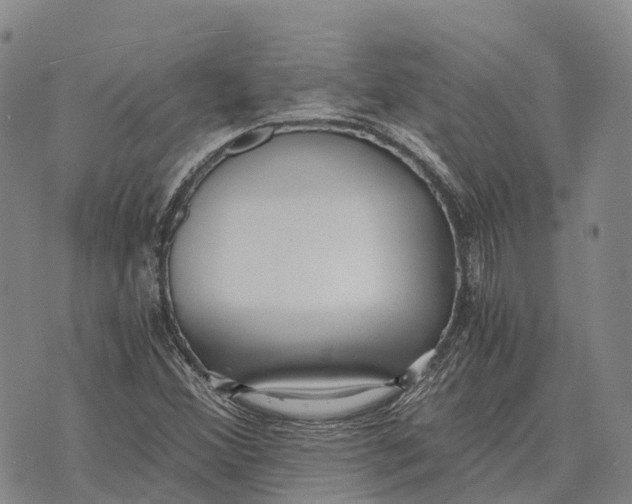 X0000073721356200608311809