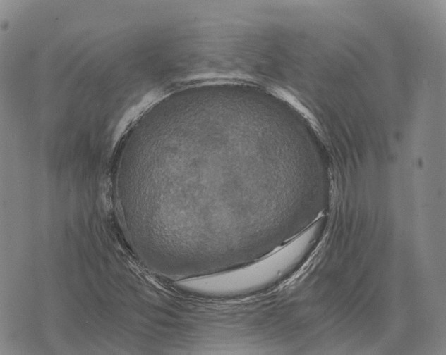 X0000073721357200608311809