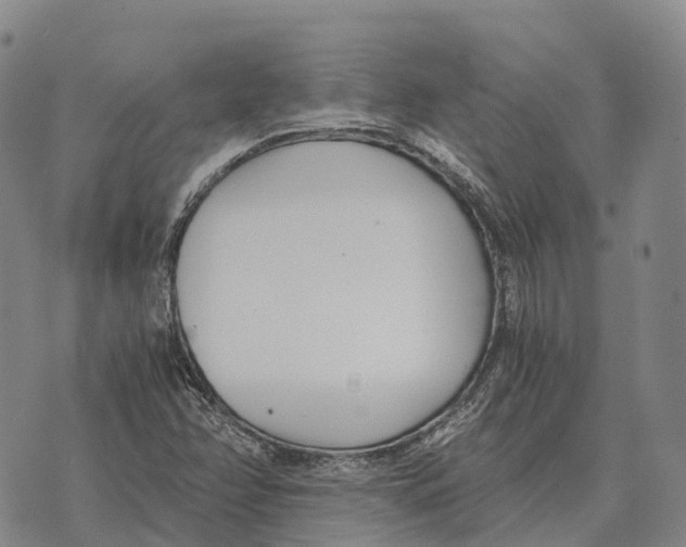 X0000073721358200608311809