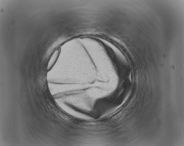 X0000073721359200608311809