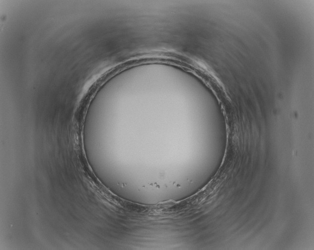 X0000073721360200608311809