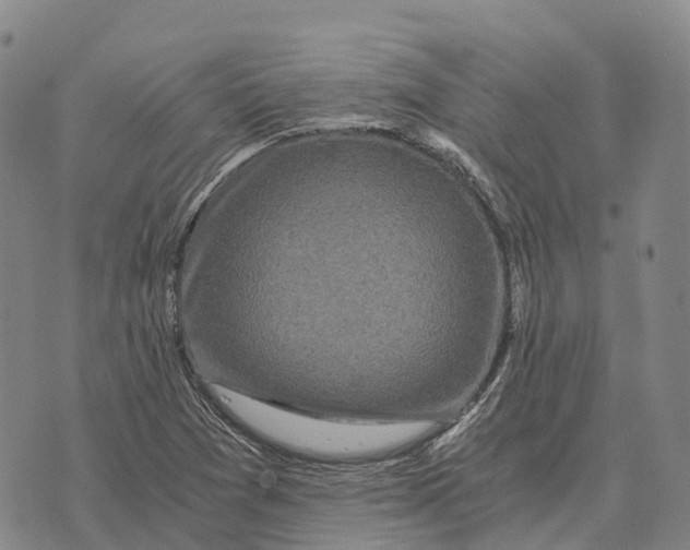 X0000073721361200608311809