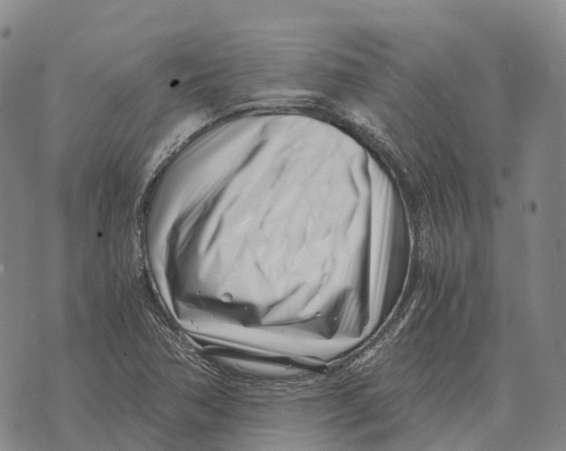 X0000073721362200608311809