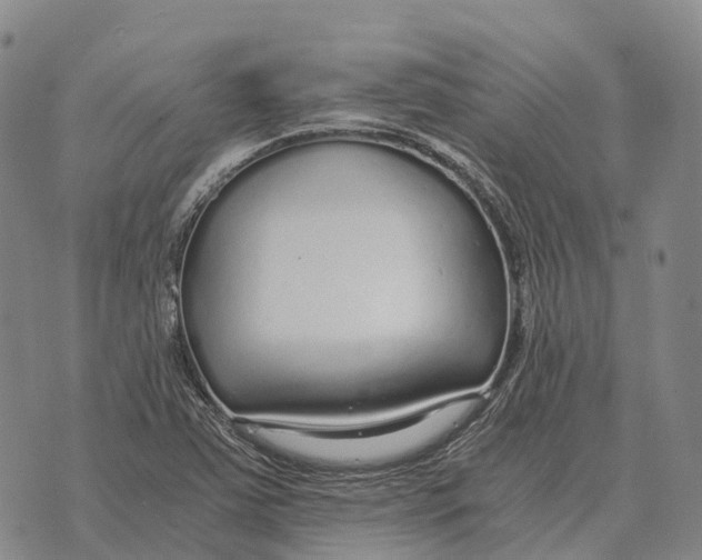 X0000073721363200608311809